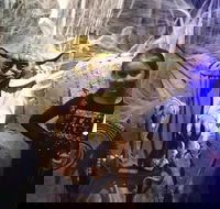 VIP Tour- The Galaxy Connection - Students Accommodation