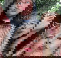 Participate in a Fun Scavenger Hunt in Little Rock by Zombie Scavengers - Students Accommodation