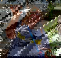 Sacramento City Scavenger Hunt Excursion by Operation City Quest - USA Accommodation