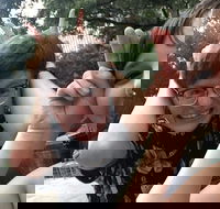 Little Rock City Scavenger Hunt Excursion by Wacky Walks - Students Accommodation