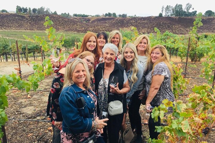 VIP Temecula Wine Tasting PRIVATE Tour - thumb 0