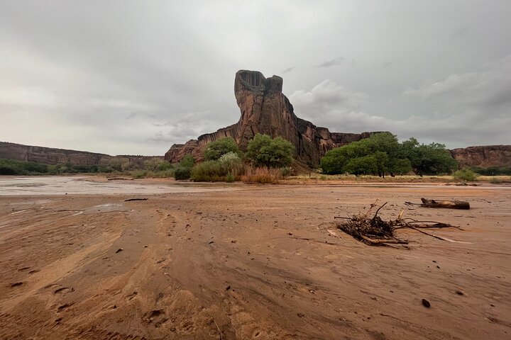 3-hour Private Tour - thumb 0