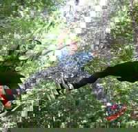 10 Zip Line Zip Tour 1.5 hours - Students Accommodation