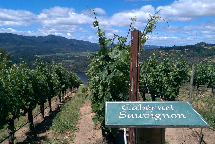 6 Hour Napa Or Sonoma Wine Tour In Private Limousine - thumb 0