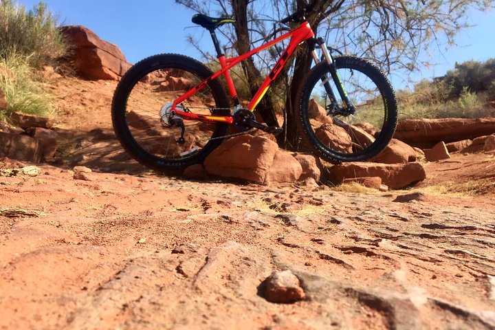 Bike Rentals - thumb 3