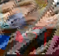 Santa Cruz-ade Scavenger Hunt - USA Accommodation