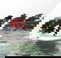 Beginner Surf Lesson in Santa Cruz - USA Accommodation