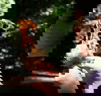 Introduction to Wilderness Survival Clinic in Santa Cruz - USA Accommodation