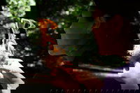 Santa Cruz Ca USA Accommodation