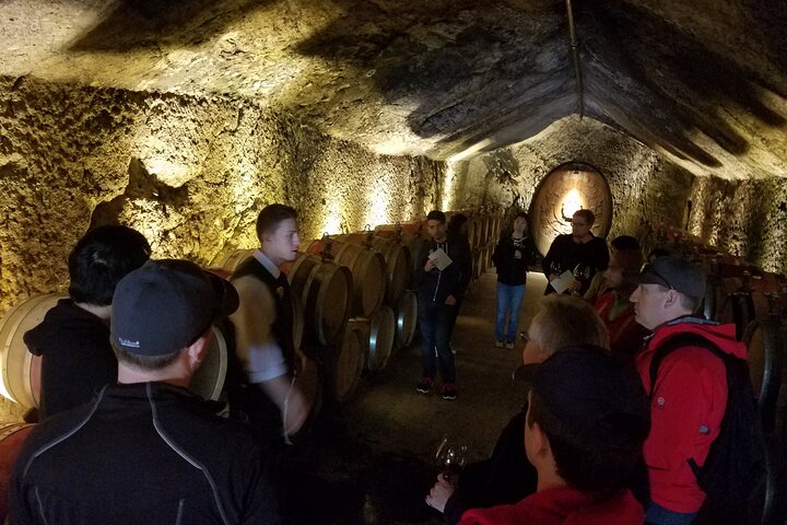 Sonoma County Wine Segway Tour - thumb 4