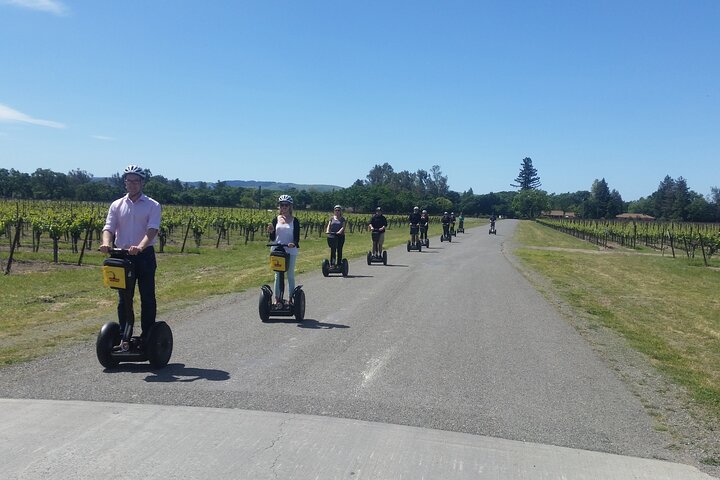 Sonoma County Wine Segway Tour - thumb 5