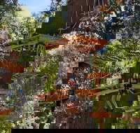 2-Hour Climbing and Ziplining in West Sacramento - USA Accommodation