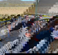 The Ultimate Wine Tasting Tour with Picnic Lunch - USA Accommodation