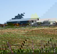 Family Owned Wine Tasting in Temacula with Picnic Lunch - USA Accommodation