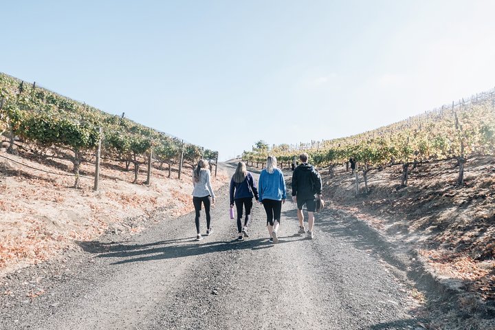 Small-Group Malibu Wine Hike - thumb 5
