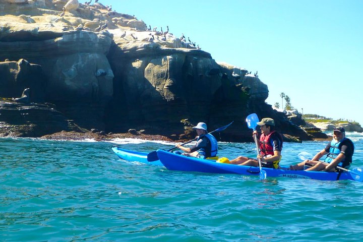 La Jolla Sea Caves Kayak Tour - thumb 4