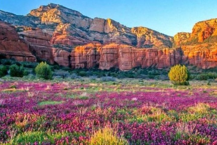 Grand Experience First Class Railroad Excursion Flagstaff - thumb 3