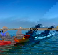 Russian River Kayak Tour at the Beautiful Sonoma Coast - USA Accommodation