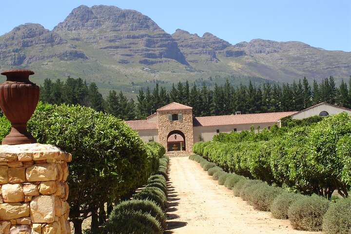 6 Hour - Private Napa Wine Tour In A Stretch Limousine - thumb 3