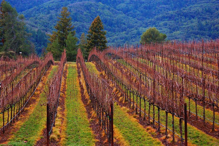 6 Hour - Private Napa Wine Tour In A Stretch Limousine - thumb 4