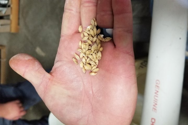 Custom Arizona Brewery Tour - thumb 2