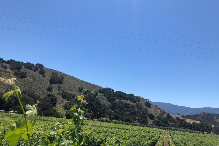 Santa Barbara Wine Country Tour - thumb 1