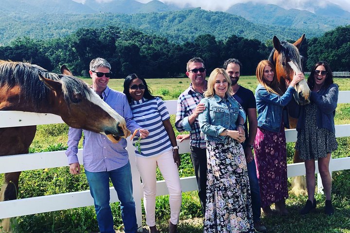 Santa Barbara Wine Country Tour - thumb 3