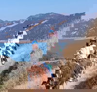 Sonoma Horseback-Riding Tour - USA Accommodation