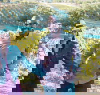 Private SUV Wine Tour of Temecula Valley - USA Accommodation