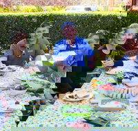 Guided Healdsburg Wine Country Bike and Wine Tasting Tour with lunch - USA Accommodation