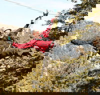 Zipline Tour - 9 high-speed ziplines  fun suspension bridge - USA Accommodation