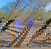 Santa Rosa Bike 'n' Brew - USA Accommodation