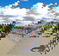 Sonoma Wine Country Bike Tour - USA Accommodation