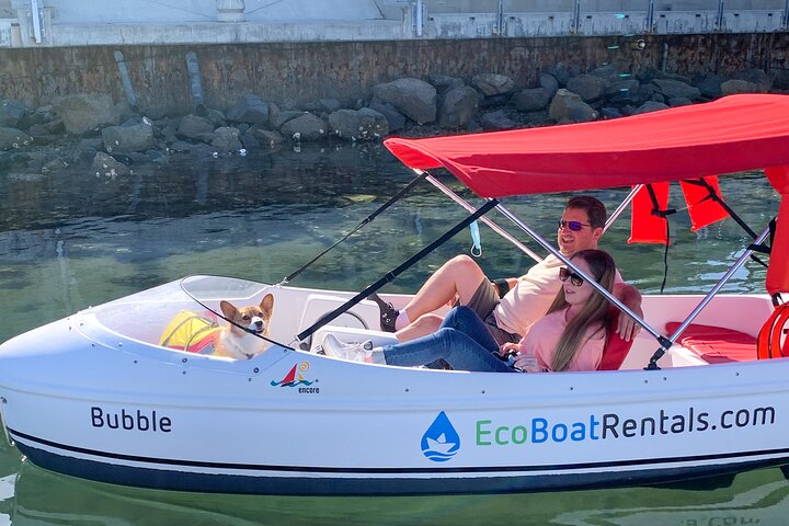 1 HOUR Eco Pedal Boat Rental In San Diego Bay - thumb 1