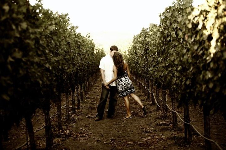 Napa And Sonoma Limo - thumb 3