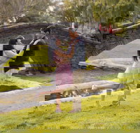 Private Holiday Professional Photo Shoot in Santa Rosa California - USA Accommodation