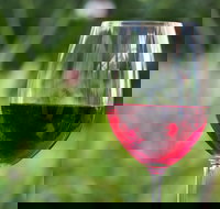 Amador County Wine Tasting Tours Chevrolet Suburban Private Tour - USA Accommodation