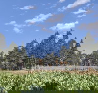 Private Hiking Tour to Bluff Lake Reserve - USA Accommodation