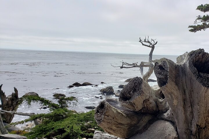 10-Hour Private Monterey & Carmel Sightseeing Tour - thumb 2