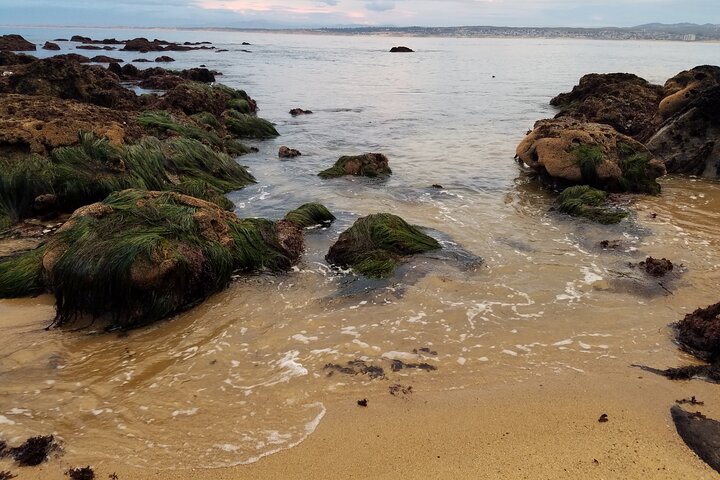 10-Hour Private Monterey & Carmel Sightseeing Tour - thumb 5