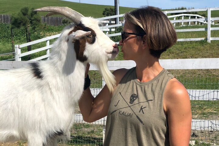 Meet The Farm Animals In Petaluma! - thumb 4