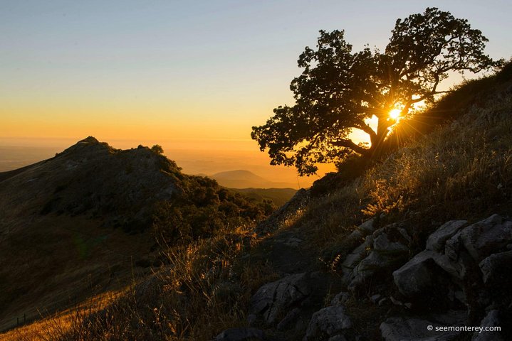 Monterey & Big Sur Discovery 2-Day Tour From San Francisco - thumb 4