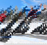 Segway Tour - Scenic 2 Hour Tour Through Town and Forest - USA Accommodation