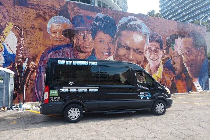 Private Hollywood To Beverly Hills Sightseeing Tour From Orange County - thumb 5