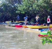 Guided Mangrove Tunnel Kayak Tour - China Accommodation