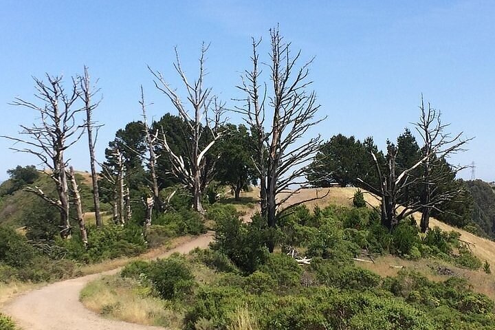 A Drive Through Time: A Ranching History Of Point Reyes National Seashore - thumb 3