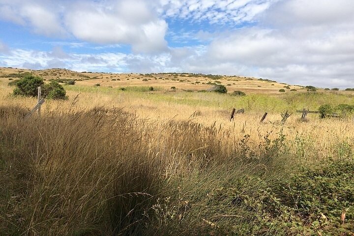 A Drive Through Time: A Ranching History Of Point Reyes National Seashore - thumb 4