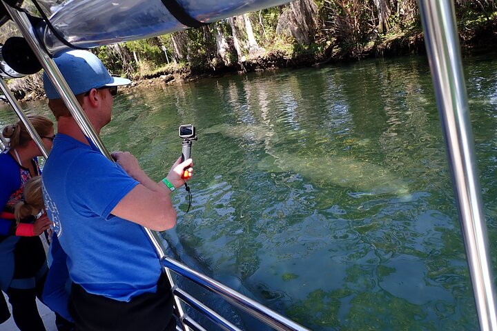 Manatee Viewing Cruise - thumb 0