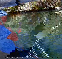 Manatee Viewing Cruise - Students Accommodation