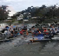 Clear Kayak Tour of Crystal River - Students Accommodation